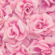 ヒメ日記 2025/09/07 15:59 投稿 ちなつ 激安ピーチ