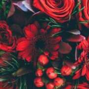 ヒメ日記 2025/09/09 15:29 投稿 ちなつ 激安ピーチ