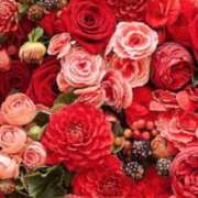 ヒメ日記 2025/09/11 20:19 投稿 ちなつ 激安ピーチ