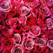 ヒメ日記 2025/09/15 15:19 投稿 ちなつ 激安ピーチ