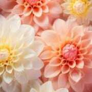 ヒメ日記 2025/09/15 20:29 投稿 ちなつ 激安ピーチ