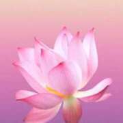 ヒメ日記 2025/09/19 16:49 投稿 ちなつ 激安ピーチ