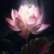 ヒメ日記 2025/09/21 14:17 投稿 ちなつ 激安ピーチ