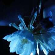 ヒメ日記 2025/09/21 21:30 投稿 ちなつ 激安ピーチ