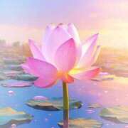 ヒメ日記 2025/09/23 14:49 投稿 ちなつ 激安ピーチ