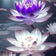 ヒメ日記 2025/09/23 15:09 投稿 ちなつ 激安ピーチ