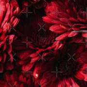 ヒメ日記 2025/09/23 20:16 投稿 ちなつ 激安ピーチ