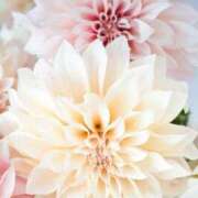 ヒメ日記 2025/09/25 14:29 投稿 ちなつ 激安ピーチ