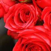 ヒメ日記 2025/09/25 15:59 投稿 ちなつ 激安ピーチ