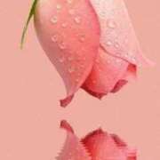 ヒメ日記 2025/09/26 14:29 投稿 ちなつ 激安ピーチ