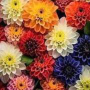 ヒメ日記 2025/09/30 12:59 投稿 ちなつ 激安ピーチ