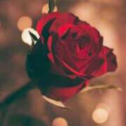 ヒメ日記 2025/09/30 22:29 投稿 ちなつ 激安ピーチ