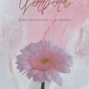 ヒメ日記 2025/10/03 21:39 投稿 ちなつ 激安ピーチ