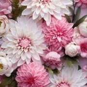 ヒメ日記 2025/10/05 14:09 投稿 ちなつ 激安ピーチ