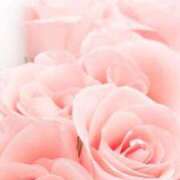 ヒメ日記 2025/10/05 19:30 投稿 ちなつ 激安ピーチ