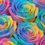 ヒメ日記 2025/10/13 14:09 投稿 ちなつ 激安ピーチ