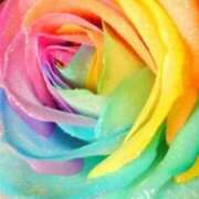 ヒメ日記 2025/10/13 15:29 投稿 ちなつ 激安ピーチ