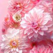 ヒメ日記 2025/10/16 19:50 投稿 ちなつ 激安ピーチ