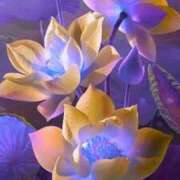 ヒメ日記 2025/10/16 21:19 投稿 ちなつ 激安ピーチ