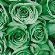 ヒメ日記 2025/10/18 15:59 投稿 ちなつ 激安ピーチ