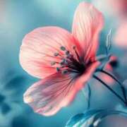 ヒメ日記 2025/10/18 17:19 投稿 ちなつ 激安ピーチ