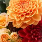 ヒメ日記 2025/10/19 15:53 投稿 ちなつ 激安ピーチ