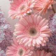 ヒメ日記 2025/10/22 16:09 投稿 ちなつ 激安ピーチ