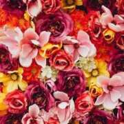 ヒメ日記 2025/10/26 16:09 投稿 ちなつ 激安ピーチ