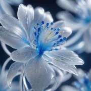 ヒメ日記 2025/10/26 18:09 投稿 ちなつ 激安ピーチ