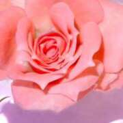 ヒメ日記 2025/10/29 18:19 投稿 ちなつ 激安ピーチ