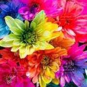 ヒメ日記 2025/11/08 18:19 投稿 ちなつ 激安ピーチ