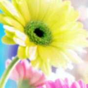 ヒメ日記 2025/11/08 19:39 投稿 ちなつ 激安ピーチ