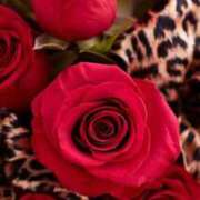 ヒメ日記 2025/11/30 21:19 投稿 ちなつ 激安ピーチ