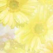 ヒメ日記 2025/12/07 23:09 投稿 ちなつ 激安ピーチ