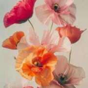 ヒメ日記 2025/12/09 14:19 投稿 ちなつ 激安ピーチ