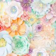 ヒメ日記 2025/12/09 23:00 投稿 ちなつ 激安ピーチ