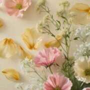 ヒメ日記 2025/12/11 13:19 投稿 ちなつ 激安ピーチ