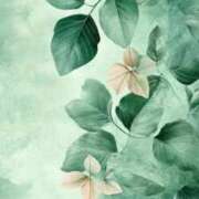 ヒメ日記 2025/12/11 17:39 投稿 ちなつ 激安ピーチ