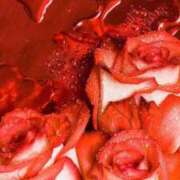 ヒメ日記 2025/12/21 17:29 投稿 ちなつ 激安ピーチ