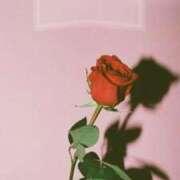 ヒメ日記 2025/12/21 19:09 投稿 ちなつ 激安ピーチ