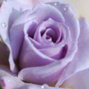 ヒメ日記 2025/12/21 20:32 投稿 ちなつ 激安ピーチ