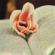 ヒメ日記 2025/12/25 19:09 投稿 ちなつ 激安ピーチ