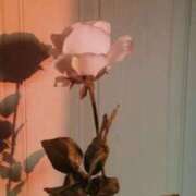 ヒメ日記 2026/01/03 19:39 投稿 ちなつ 激安ピーチ