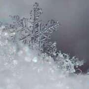 ヒメ日記 2026/01/10 14:21 投稿 ちなつ 激安ピーチ