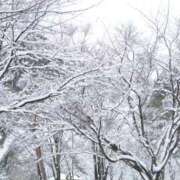 ヒメ日記 2026/01/10 17:39 投稿 ちなつ 激安ピーチ