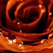 ヒメ日記 2026/01/13 18:02 投稿 ちなつ 激安ピーチ