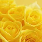 ヒメ日記 2026/01/18 20:49 投稿 ちなつ 激安ピーチ