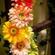 ヒメ日記 2026/01/22 21:21 投稿 ちなつ 激安ピーチ