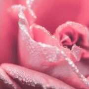 ヒメ日記 2026/01/25 18:19 投稿 ちなつ 激安ピーチ