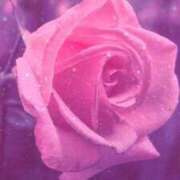 ヒメ日記 2026/01/29 17:39 投稿 ちなつ 激安ピーチ